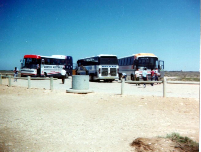 Bova #60 on the Nullabour at the lookout,111km from SA/WA border.There were other coaches there at that time.1985.