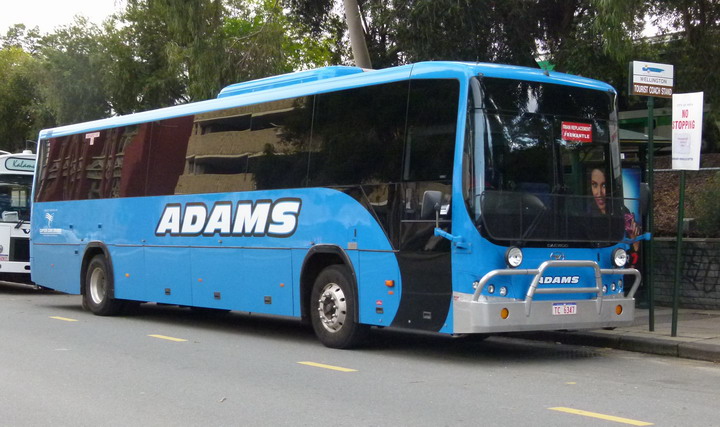 Adams Coachlines Deawoo BH117L TC9347