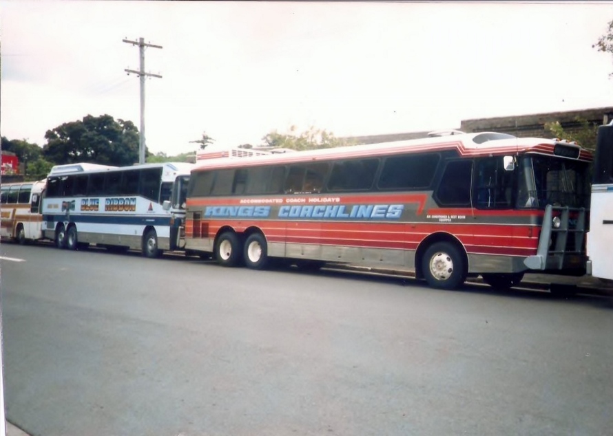 Kings Bus Service RFW &amp; Blue Ribbon Landseer
