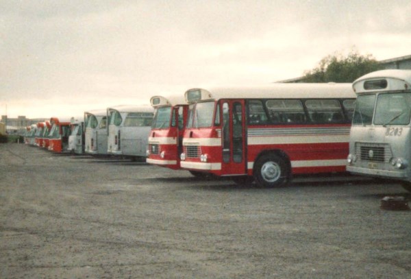 A photo of Ex Adelaide STA buses.The 2 Bedford Comair's were being prepared for delivery to Associated Tourist Services.Photo taken around early 1984/late 1983.