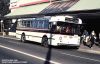 Foley`s Bus service Kogarah NSW Leyland Leopard MO-4705.jpg