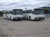 img446 - TransitPlus Volvo B10ML [Fuji] articulated Nos_3303 & 3304 @ Mile End depot - 26Oct10.JPG