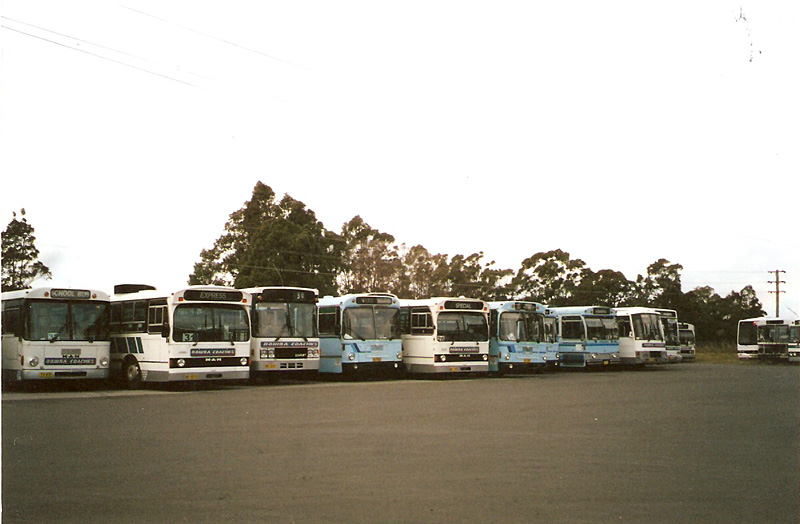 Nowra Coaches.
A lineup of various units.
Keywords: premierbus norbertphoto