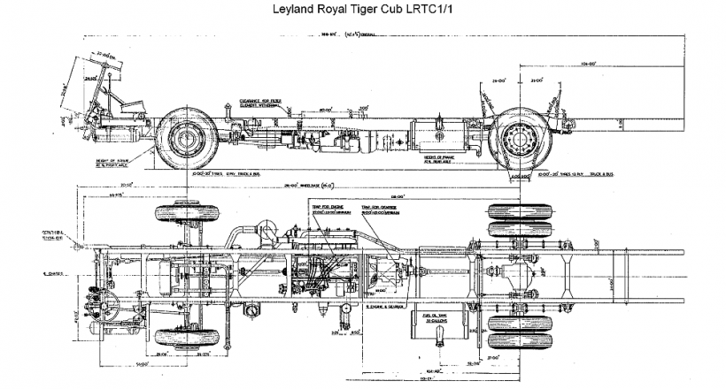 Royal Tiger Cub LRTC1-1.png