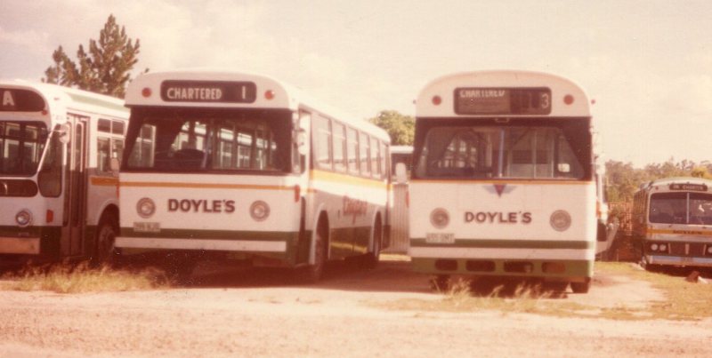 Doyles 1982 Camira