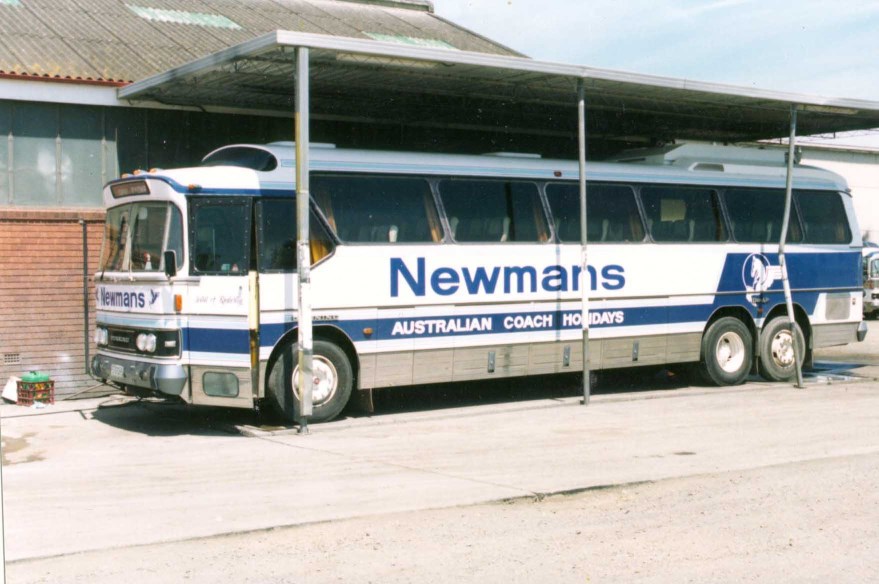 Newman's Denair.
