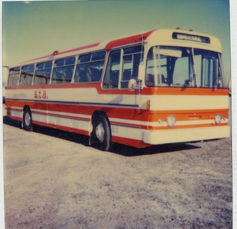 STA Roadliner Adelaide Denning built bus.