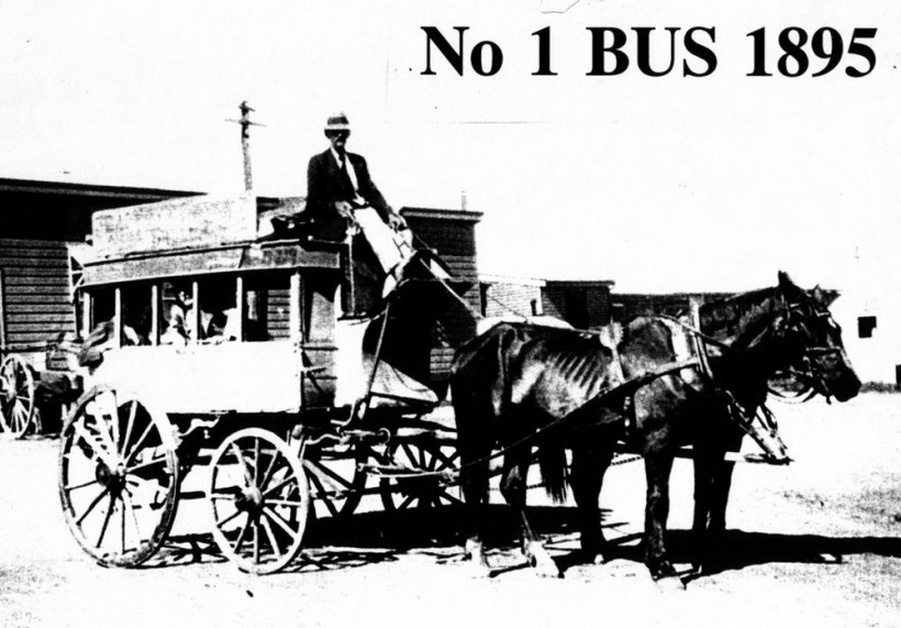 No 1 Bus - 1895 Alf Wigzell - r.JPG