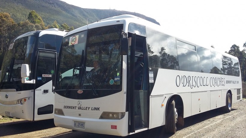 O'Driscoll Coaches #25 BCI RoadCruiser2 + #20 MB OH1830 / Mills Tui - The Springs Mt Wellington Reserve